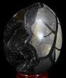 Septarian Dragon Egg Geode - Crystal Filled #37380-1